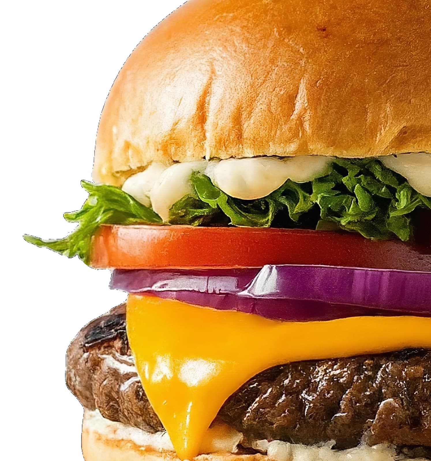 Cheeseburger mit Cheddar, Tomate und roten Zwiebeln